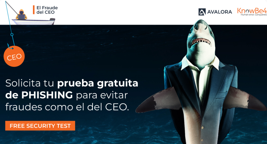 Ataques de fraude del CEO